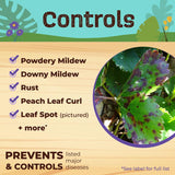 Bonide Organic Liquid Copper Fungicide 32 oz