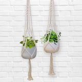 Trendspot Macrame 4.7 in. H X 5.7 in. W X 5.7 in. D X 5.5 in. D Ceramic Planter White, Pack of 2