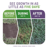 Pennington Smart Patch Mixed Dense Shade Seed/Fertilizer/Mulch Repair Kit 10 lb