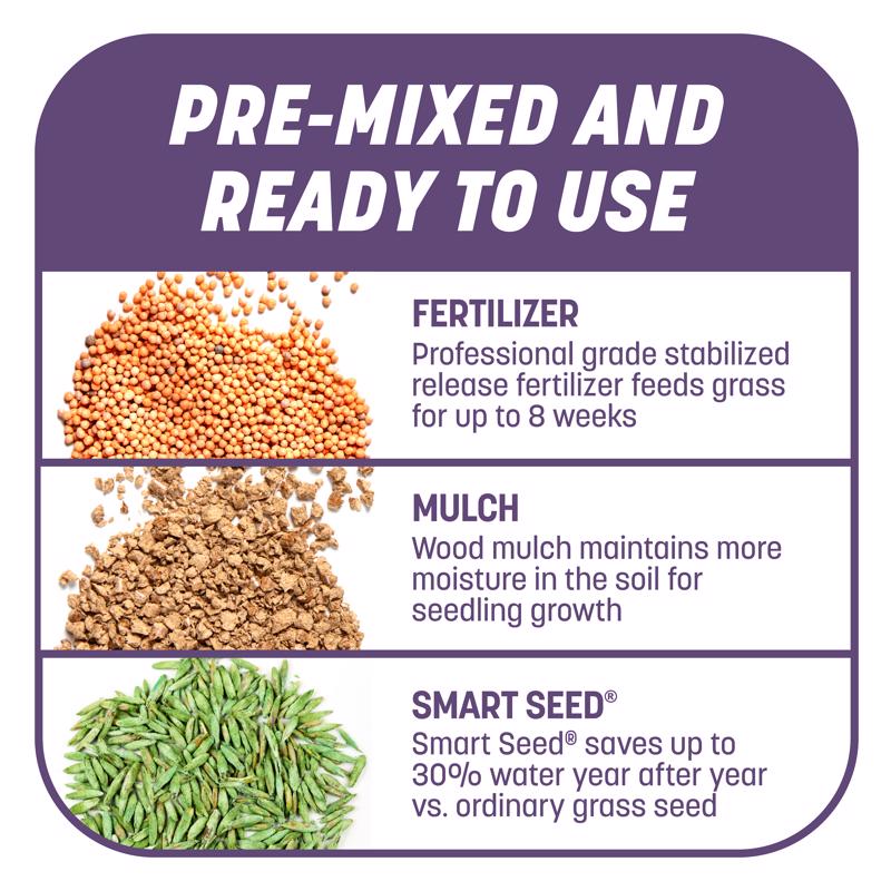 Pennington Smart Patch Mixed Dense Shade Seed/Fertilizer/Mulch Repair Kit 10 lb