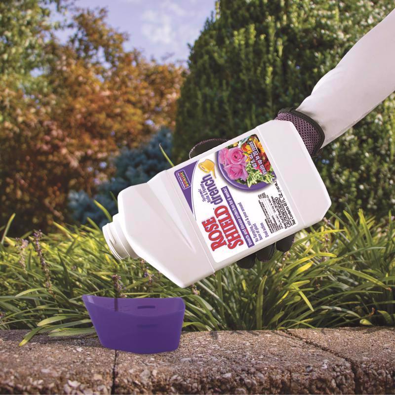 Bonide Rose Shield Systemic Insecticide and Disease Drench Liquid 40 oz, Pack of 6