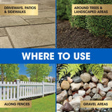 Roundup Dual Action Weed and Grass Killer Concentrate 32 oz, Pack of 6