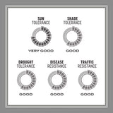 Pennington Contractors Mix Sun or Shade Grass Seed 7 lb