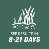 Pennington Kentucky 31 Tall Fescue Grass Sun or Shade Grass Seed 40 lb