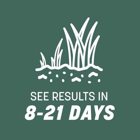 Pennington Kentucky 31 Tall Fescue Grass Sun or Shade Grass Seed 40 lb
