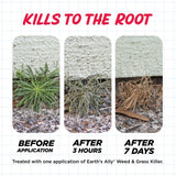 Earth's Ally Weed & Grass Killer Weed and Grass Killer RTU Liquid 1 gal, Pack of 4
