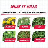 Earth's Ally Weed & Grass Killer Weed and Grass Killer RTU Liquid 1 gal, Pack of 4