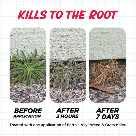 Earth's Ally Weed & Grass Killer Weed and Grass Killer RTU Liquid 24 oz, Pack of 6