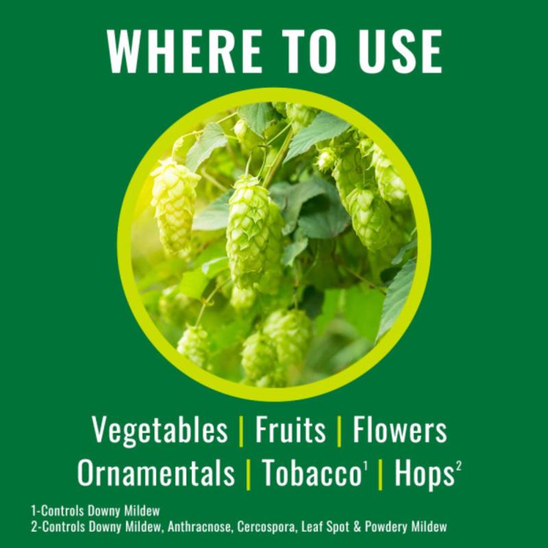 NATRIA Ready-to-Use Organic Liquid Disease & Fungus Control 24 oz