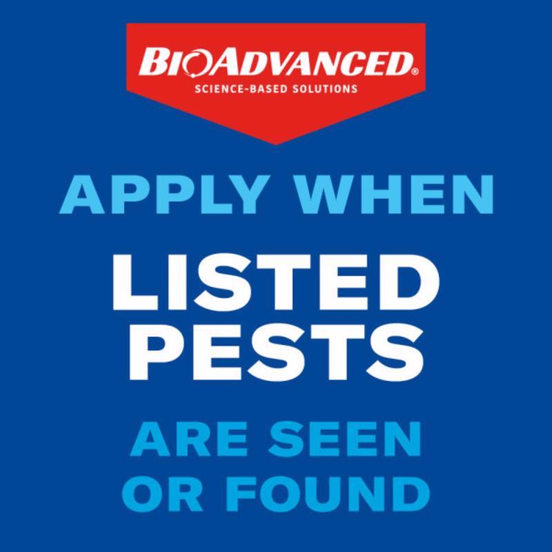 BioAdvanced Season Long, Ready-to-Spread Grub Control Granules 10 lb