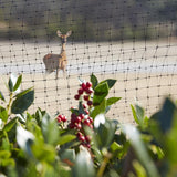 Greenscapes 21 ft. L X 7 ft. W Garden Netting