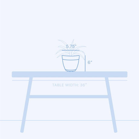 Bloem Dayton 6 in. D Plastic Planter Coral