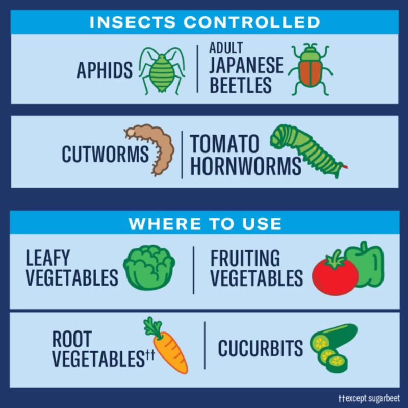 BioAdvanced Ready-to-Use, Tomato & Vegetable Insect Killer Spray 24 oz