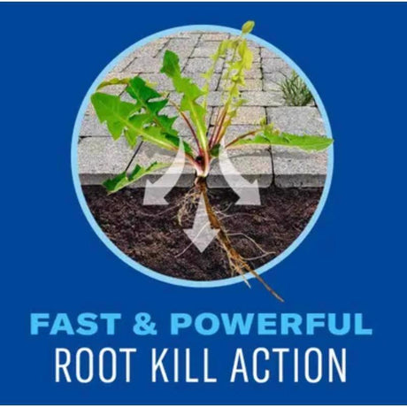 BioAdvanced Ready-to-Use Weed and Grass Killer RTU Liquid 1.3 gal