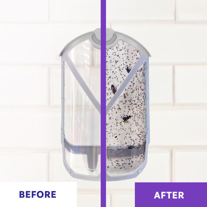 Zevo Value Pack Refills Flying Insect Trap, Pack of 4