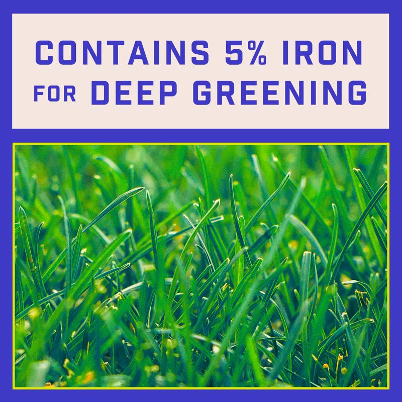 Pennington Full Season Weed & Feed Lawn Fertilizer For Multiple Grass Types 4000 sq ft