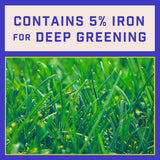 Pennington Full Season Weed & Feed Lawn Fertilizer For Multiple Grass Types 4000 sq ft