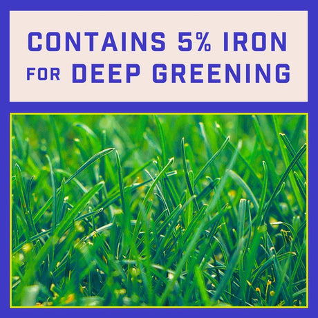 Pennington Full Season Weed & Feed Lawn Fertilizer For Multiple Grass Types 4000 sq ft