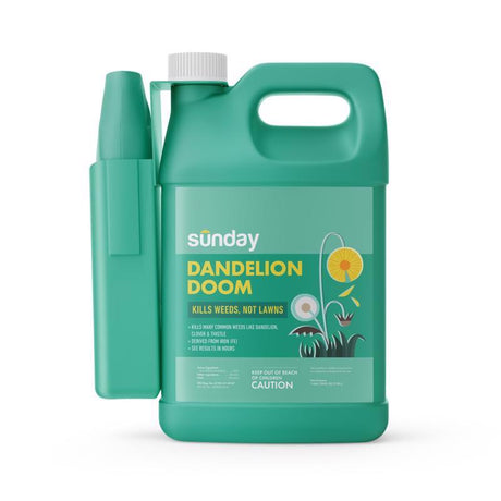 Sunday Dandelion Doom Herbicide RTU Liquid 128 oz, Pack of 3