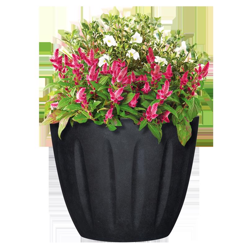 L&G 12.8 in. H X 16 in. W X 16 in. D X 16 in. D Polyresin Spritzer Planter Black
