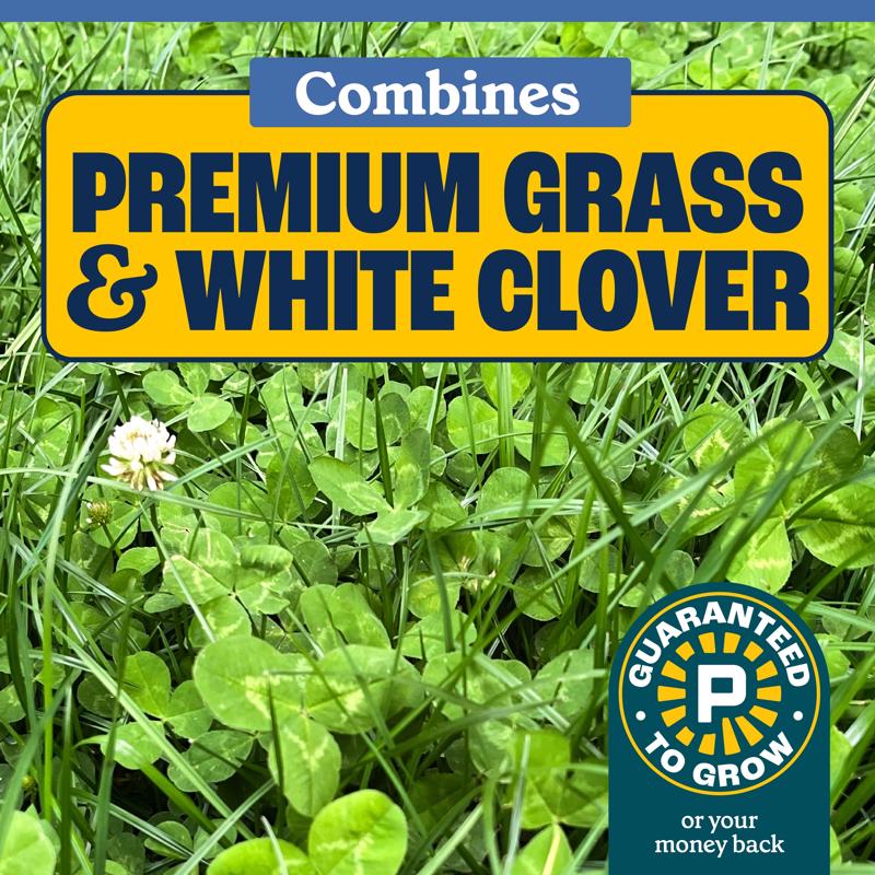 Pennington Smart Seed Clover Grass Mix Full Sun/Light Shade Grass Seed 7 lb