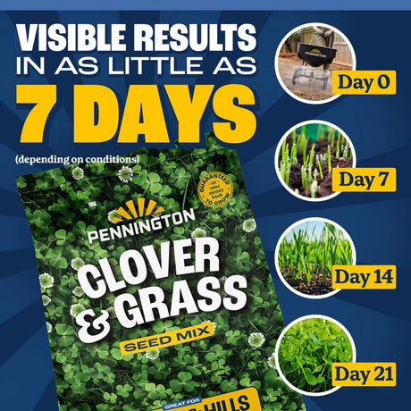 Pennington Smart Seed Clover Grass Mix Full Sun/Light Shade Grass Seed 7 lb