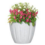 L&G 12.8 in. H X 16 in. W X 16 in. D X 16 in. D Polyresin Spritzer Planter White
