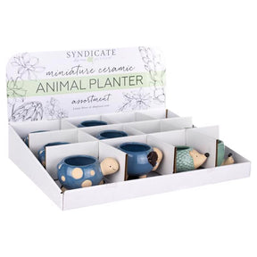 Avera Products Ceramic Animal Succulent Pot Assorted, Pack of 12