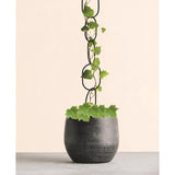 Living Accents Black Iron 44 in. H Extender Chain 1 pk