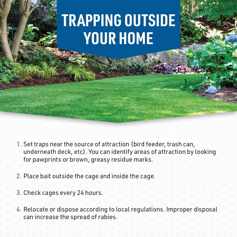 JT Eaton Answer Medium Live Catch Animal Trap Cover For Rabbits and Skunks 1 pk