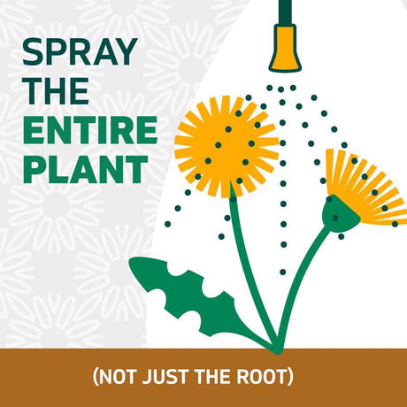 Spruce Snap & Spray Powered Weed and Grass Killer RTU Liquid 64 fl. oz.