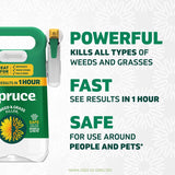 Spruce Snap & Spray Manual Trigger Weed and Grass Killer RTU Liquid 64 oz