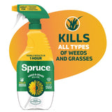 Spruce Weed and Grass Killer RTU Liquid 24 oz