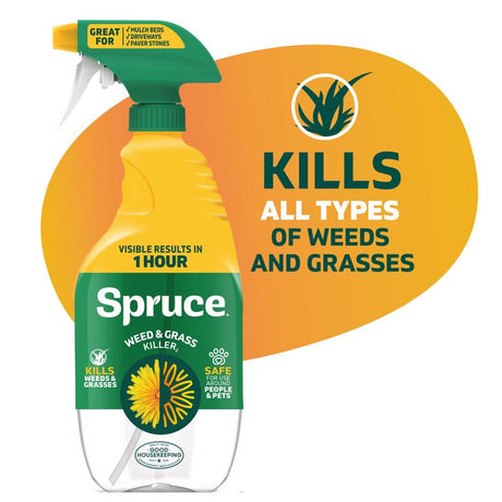 Spruce Weed and Grass Killer RTU Liquid 24 oz