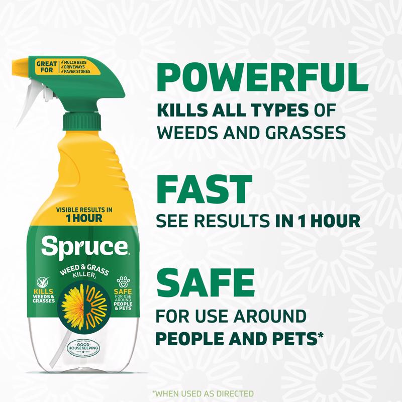 Spruce Weed and Grass Killer RTU Liquid 24 oz