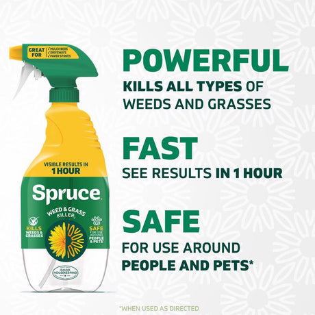 Spruce Weed and Grass Killer RTU Liquid 24 oz