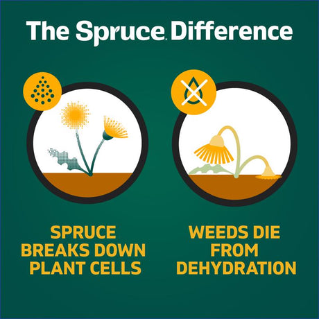 Spruce Weed and Grass Killer RTU Liquid 24 oz