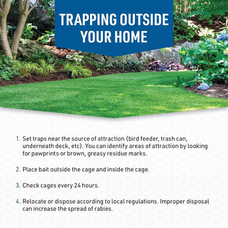 JT Eaton Answer Large Live Catch Animal Trap Cover For Cats and Raccoons 1 pk