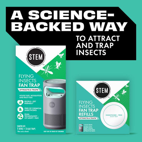 STEM Flying Insect Trap