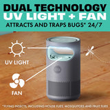 STEM Flying Insect Trap