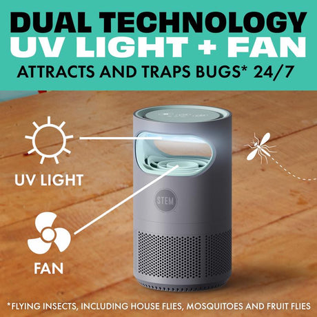STEM Flying Insect Trap
