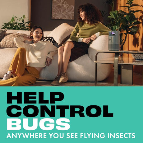 STEM Flying Insect Trap