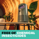 STEM Flying Insect Trap