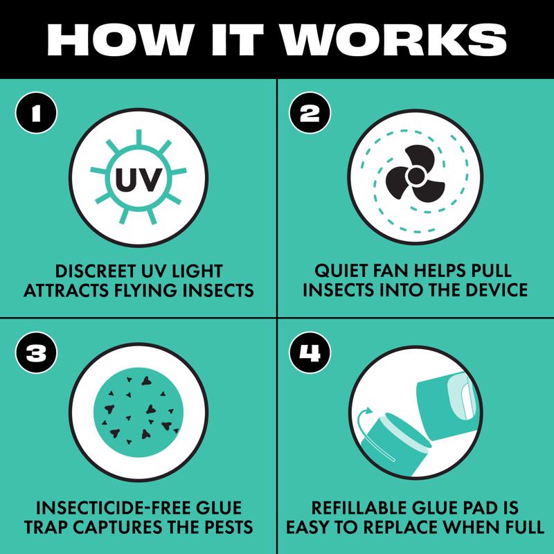 STEM Flying Insect Trap