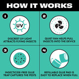STEM Flying Insect Trap