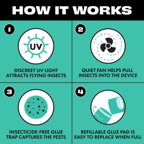 STEM Flying Insect Trap