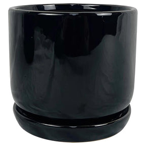 Border Concepts 6 in. D Ceramic Cover Pot Black, Pack of 6