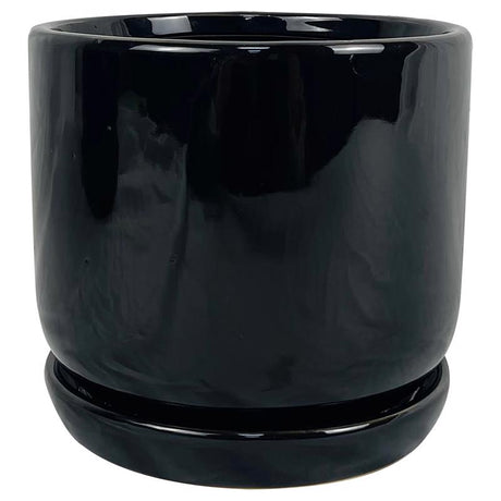 Border Concepts 6 in. D Ceramic Cover Pot Black, Pack of 6