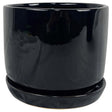 Border Concepts 8 in. D Ceramic Cover Pot Black, Pack of 4