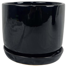 Border Concepts 8 in. D Ceramic Cover Pot Black, Pack of 4